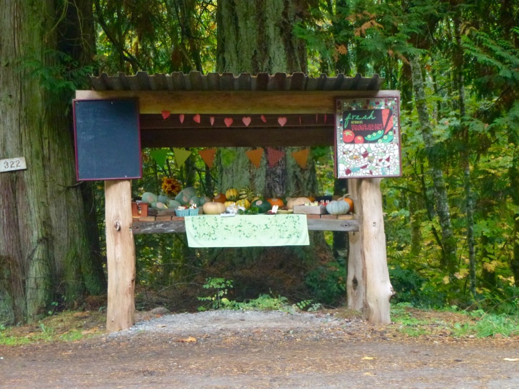 De Salt Spring Island à Victoria — photo 4