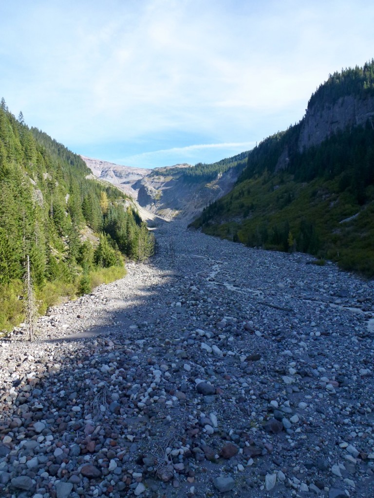 Mt Rainier National Park — photo 2
