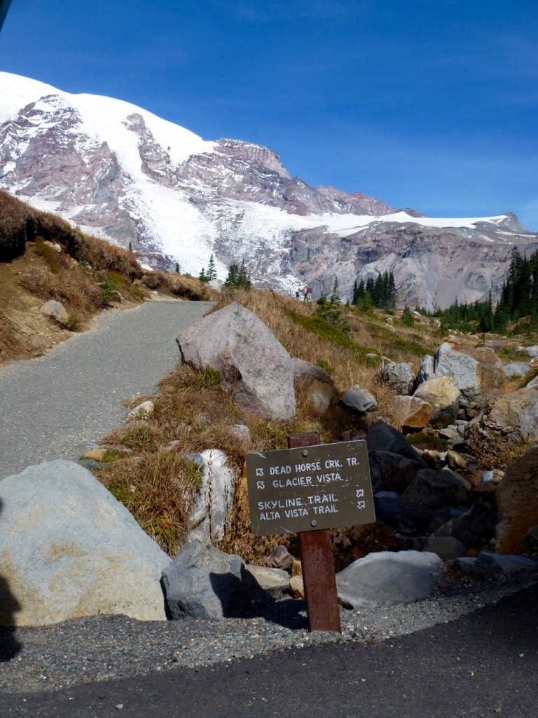 Mt Rainier National Park — photo 4