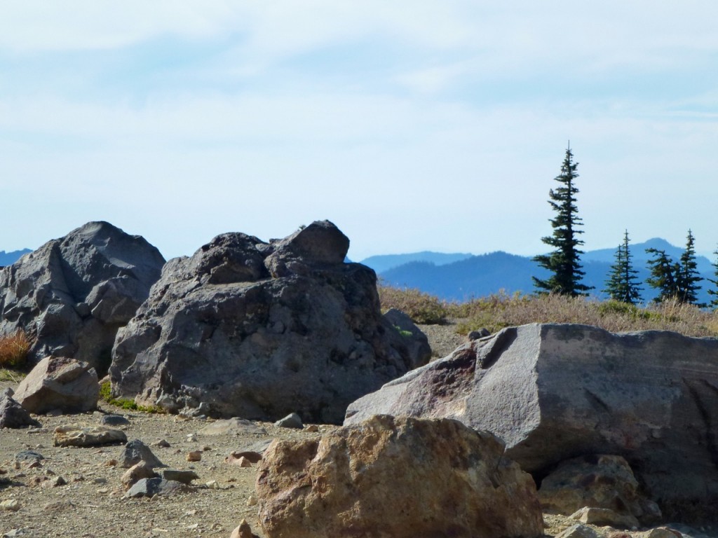 Mt Rainier National Park — photo 6