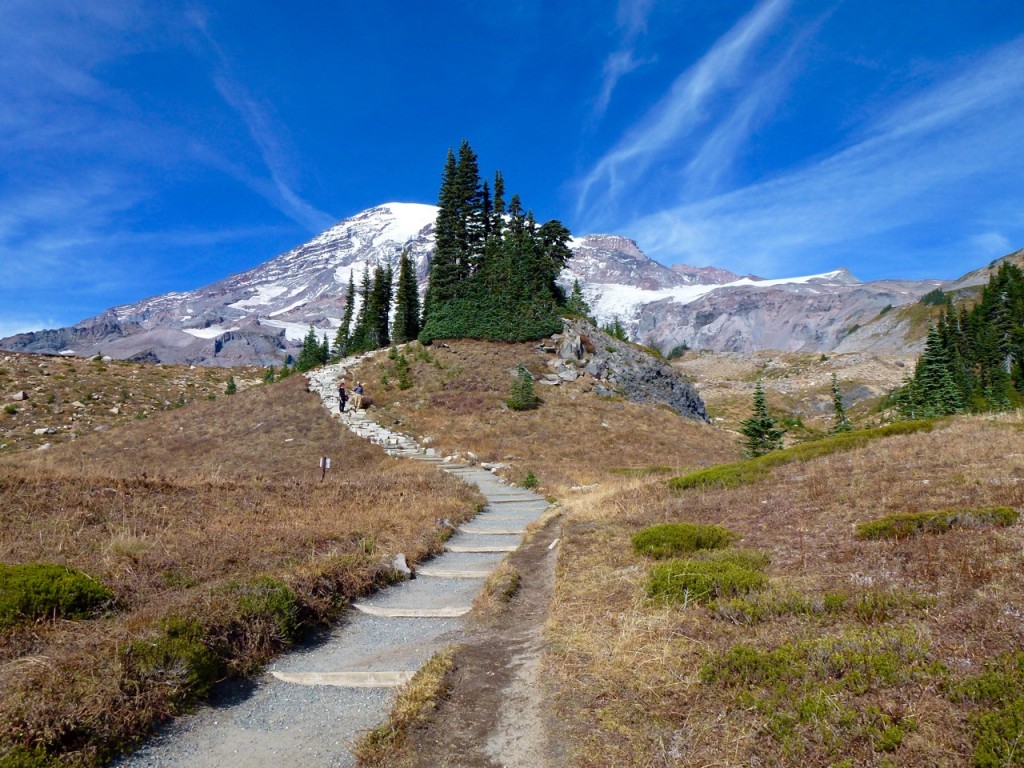 Mt Rainier National Park — photo 7