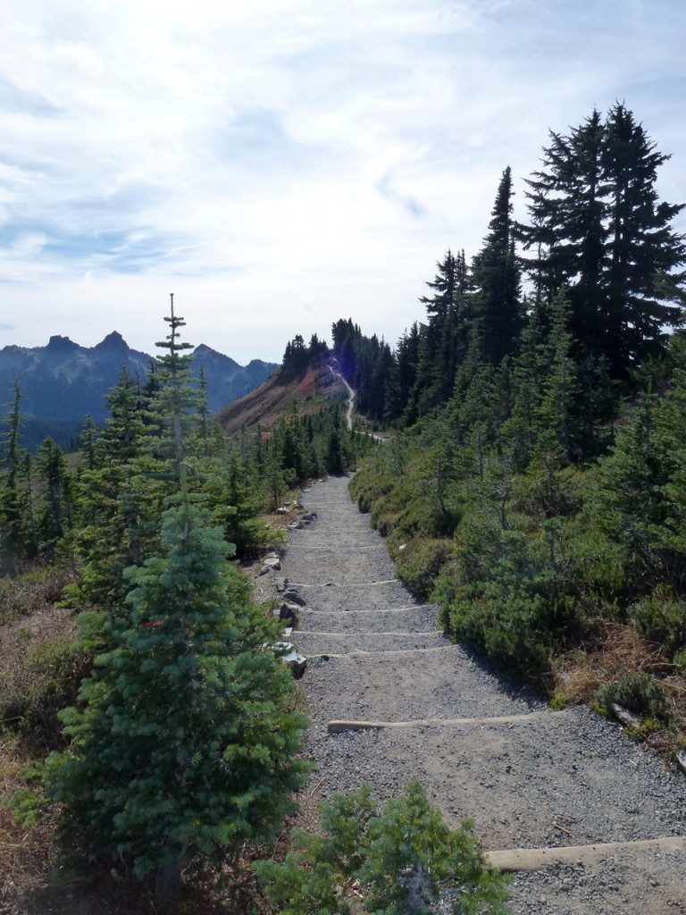 Mt Rainier National Park — photo 8