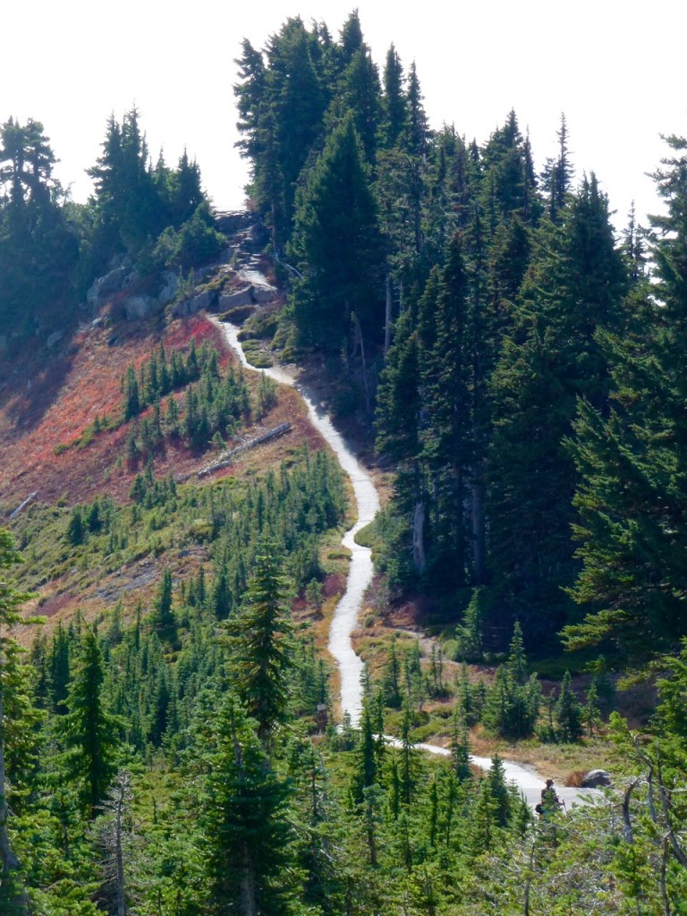 Mt Rainier National Park — photo 9
