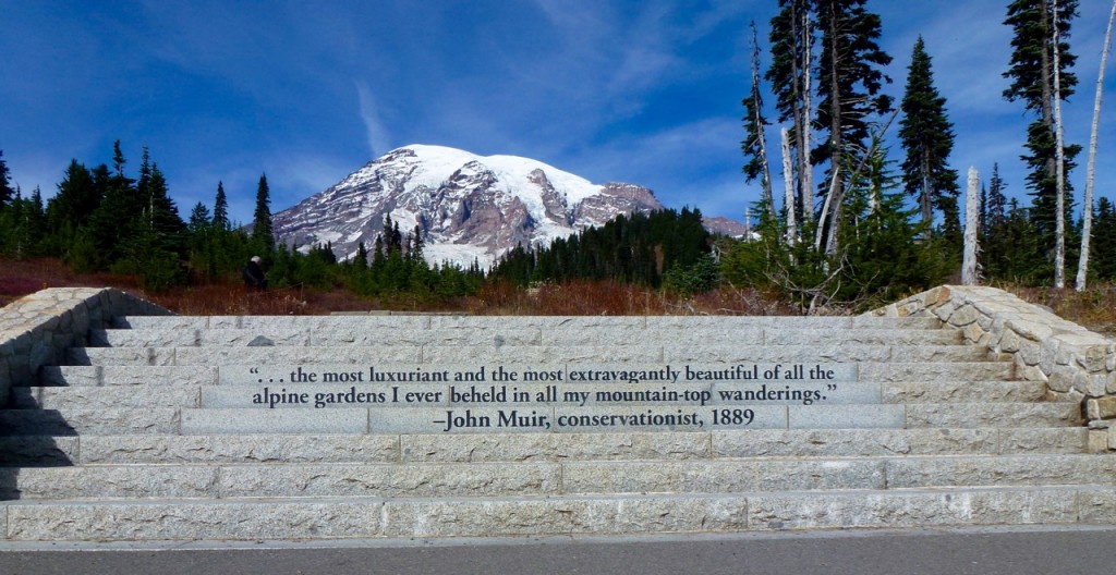 Mt Rainier National Park — photo 12
