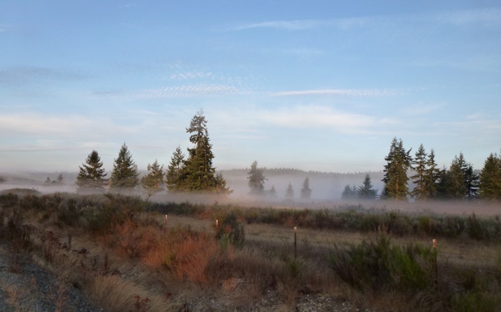 De Lakewood à Chehalis - 105 km — photo 2