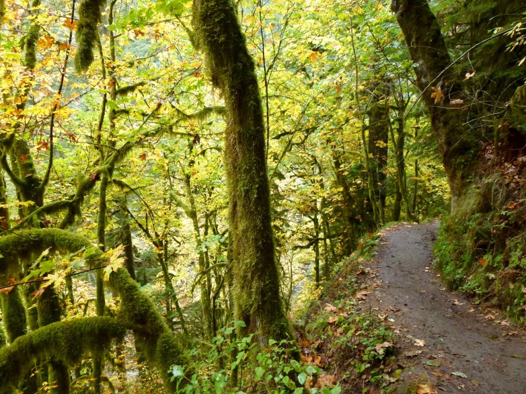 Columbia River Gorges — photo 3