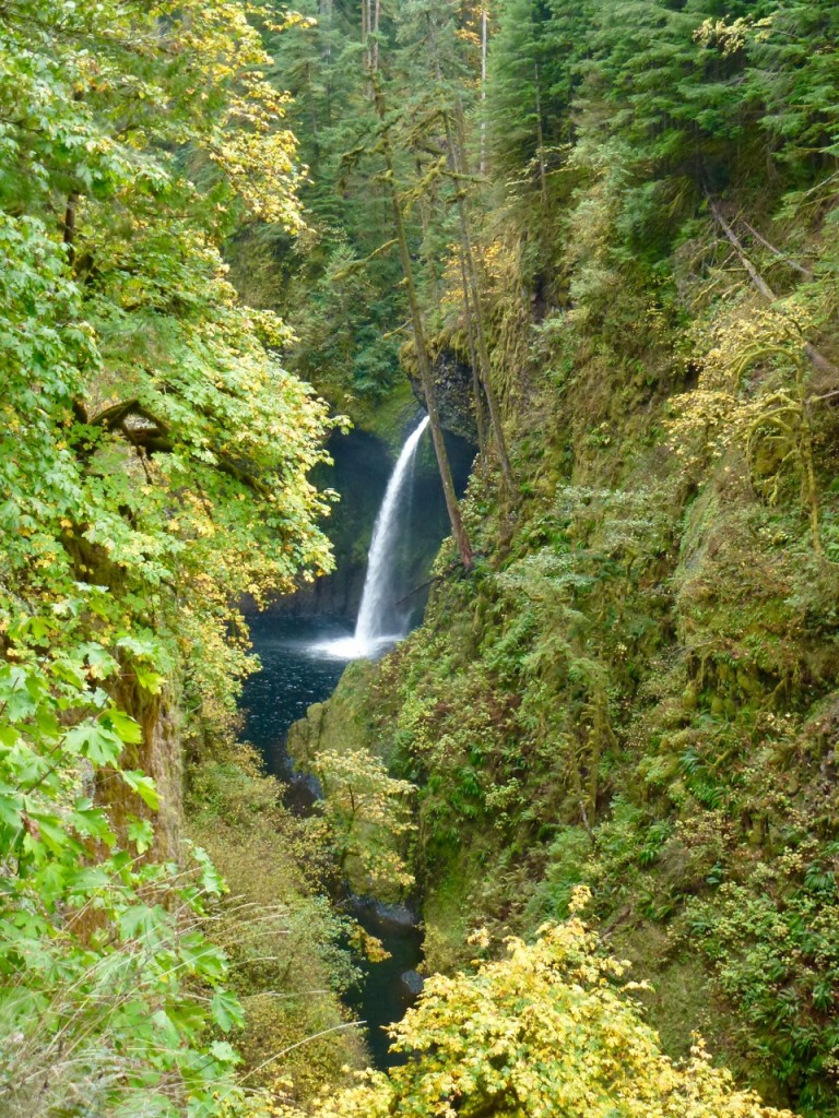 Columbia River Gorges — photo 4