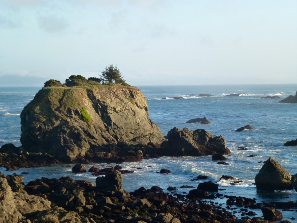 Welcome to California! — photo 6