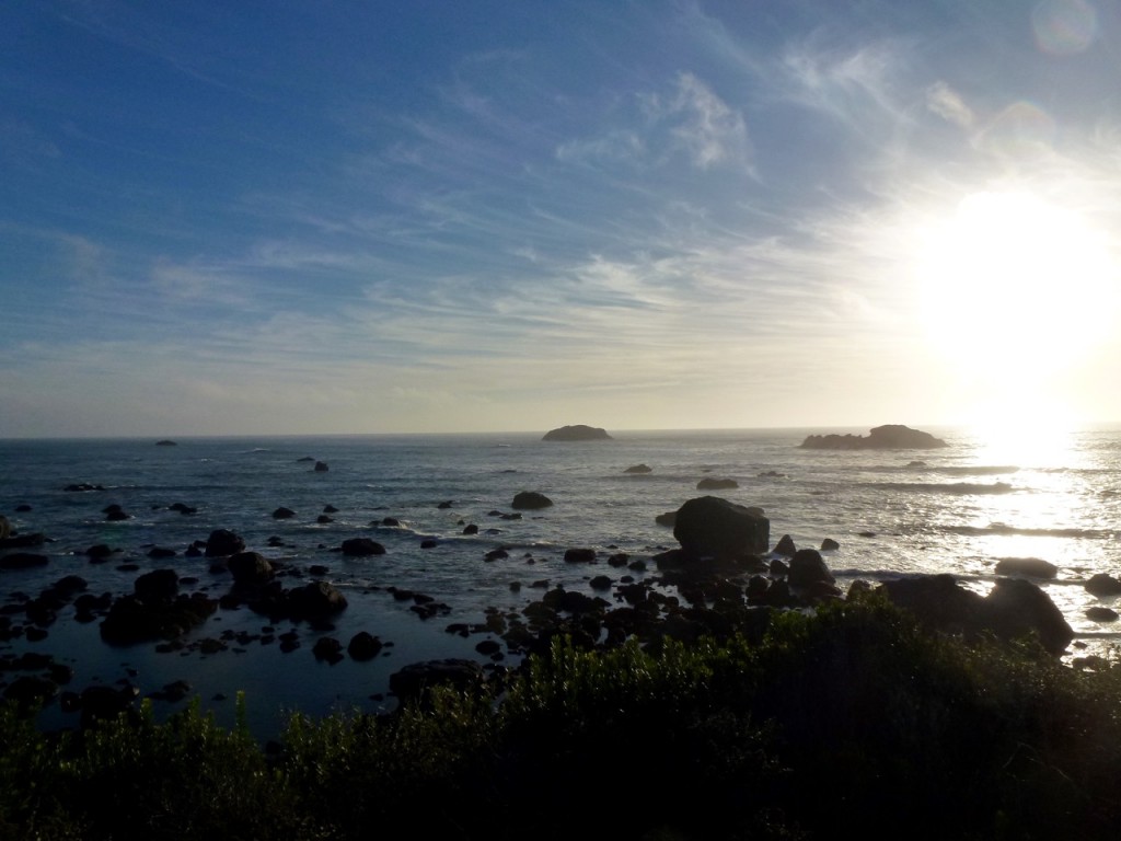Welcome to California! — photo 7