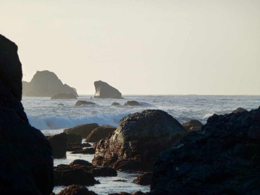 Welcome to California! — photo 10