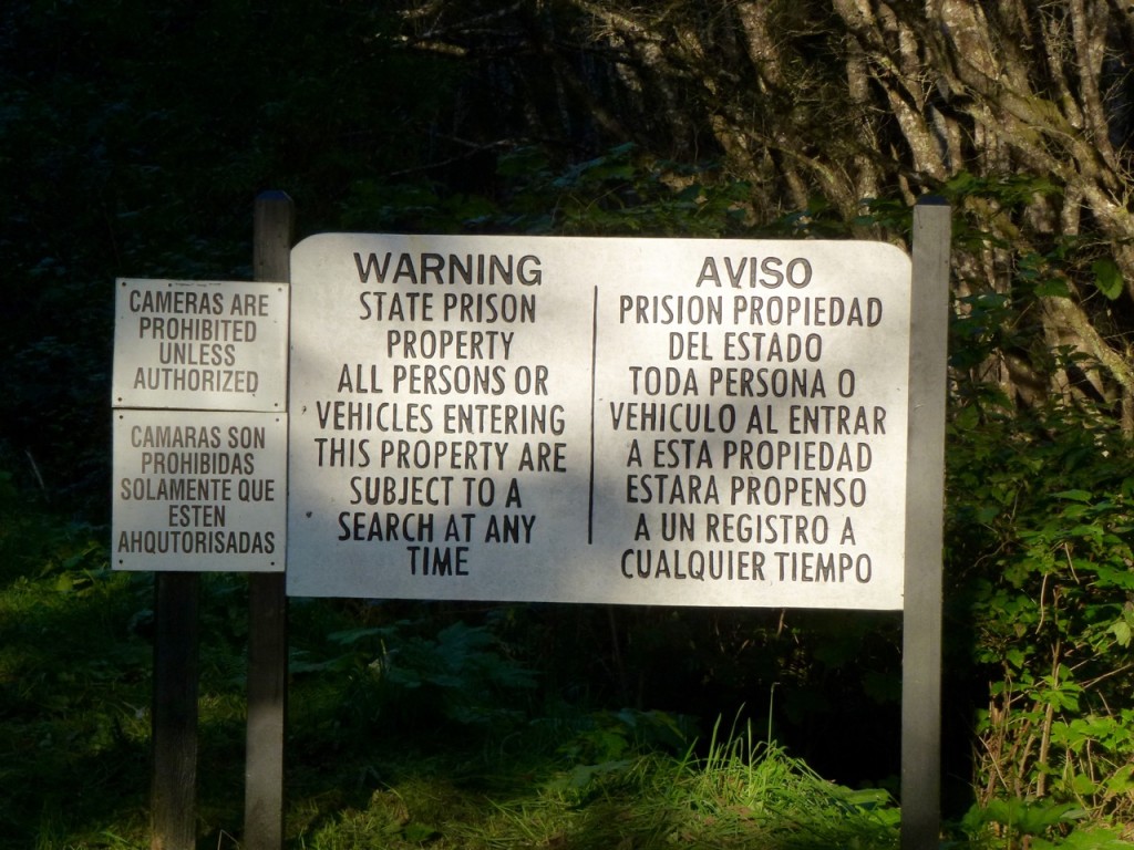 Welcome to California! — photo 12