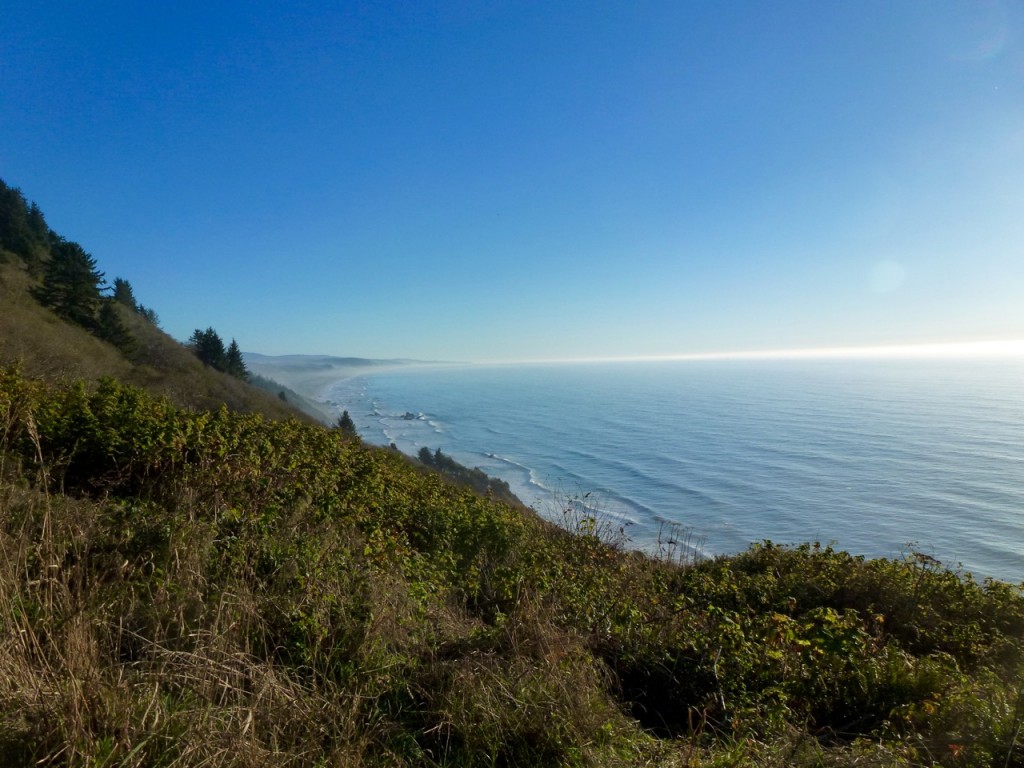 Welcome to California! — photo 13