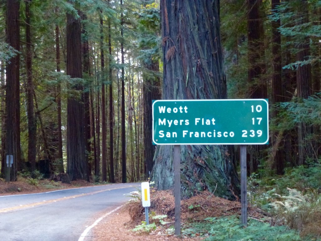 Welcome to California! — photo 23