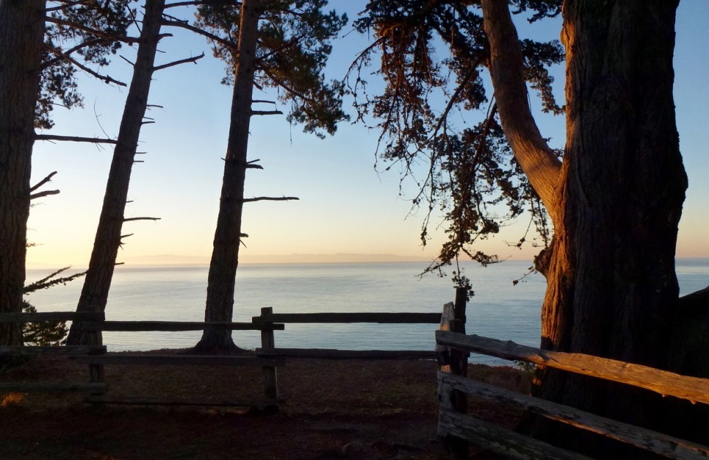 De Santa Cruz à Monterey — photo 4