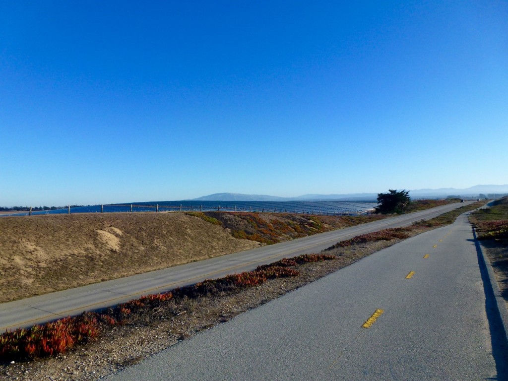 De Santa Cruz à Monterey — photo 11