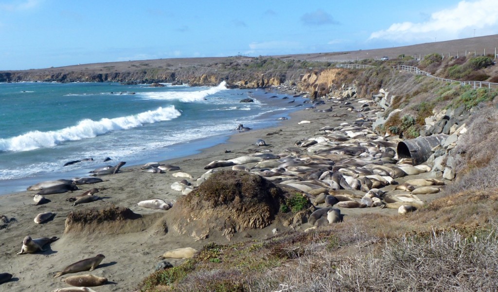 De Monterey à Morro Bay — photo 9