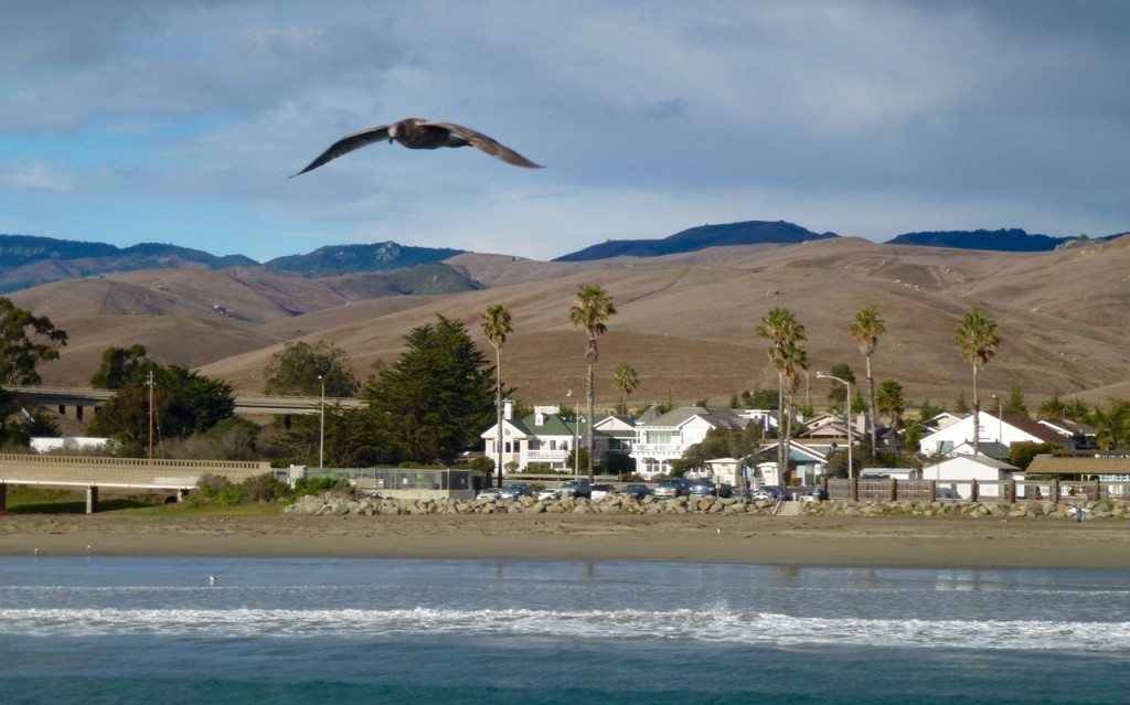 De Monterey à Morro Bay — photo 10