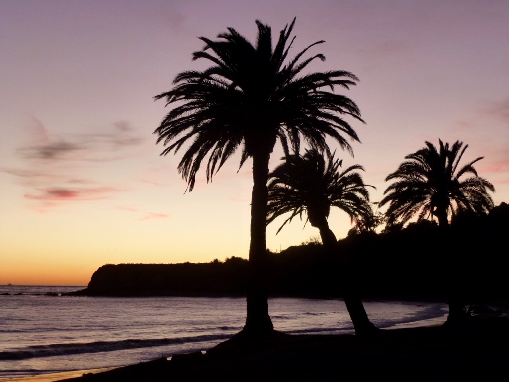 Californie du sud ! — photo 6