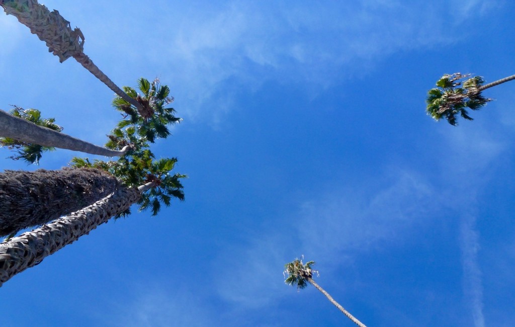 Californie du sud ! — photo 7
