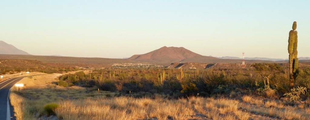 Guerrero Negro — photo 7