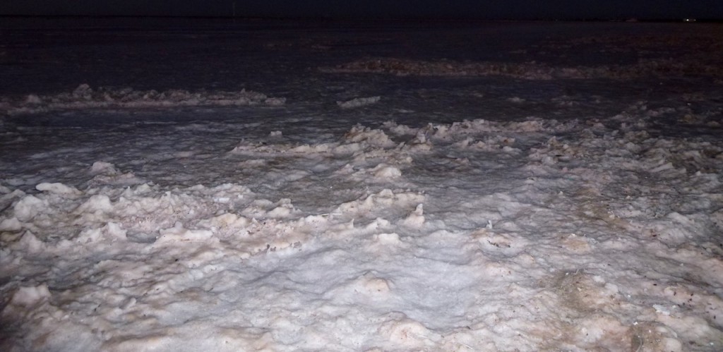 Guerrero Negro — photo 4