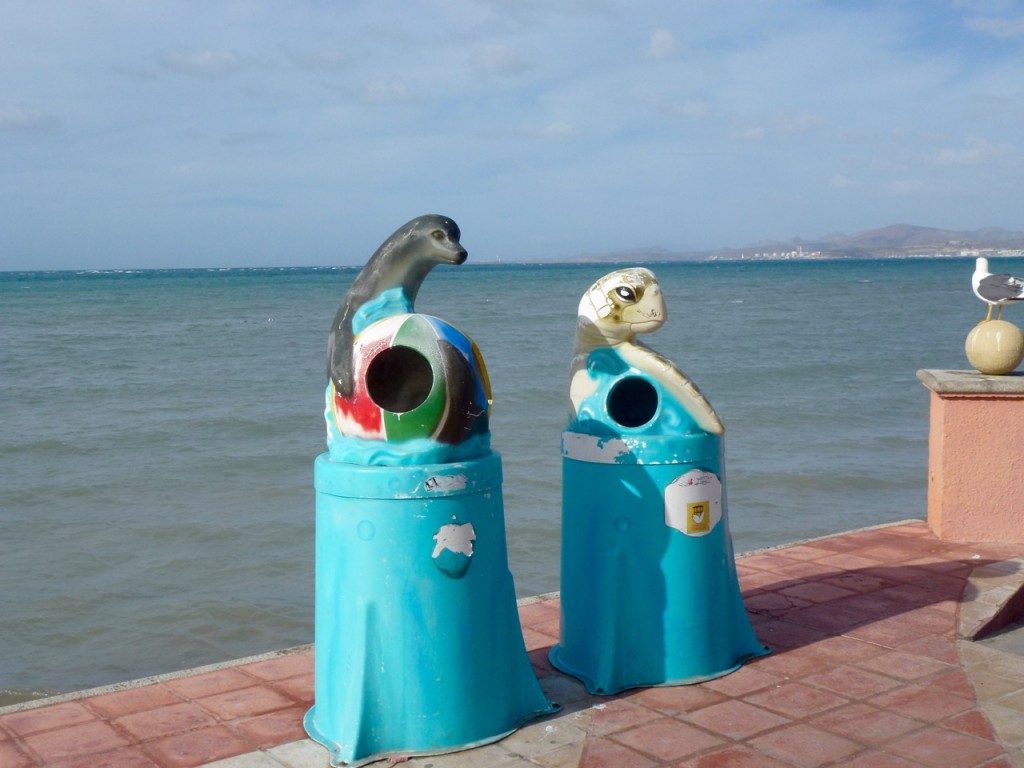 Ciudad Constitucion - La Paz — photo 7