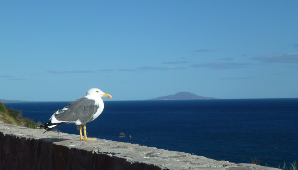Bahia del Coyote - Ciudad Constitucion — photo 1