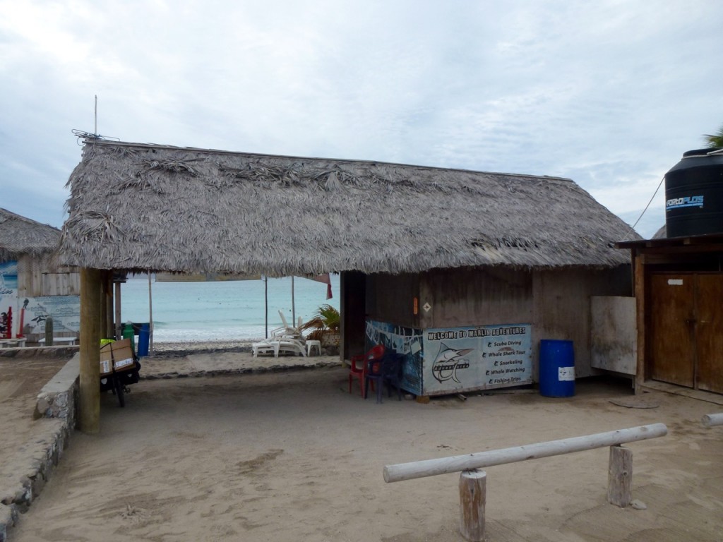 La Paz - Playa el Tecolote — photo 5