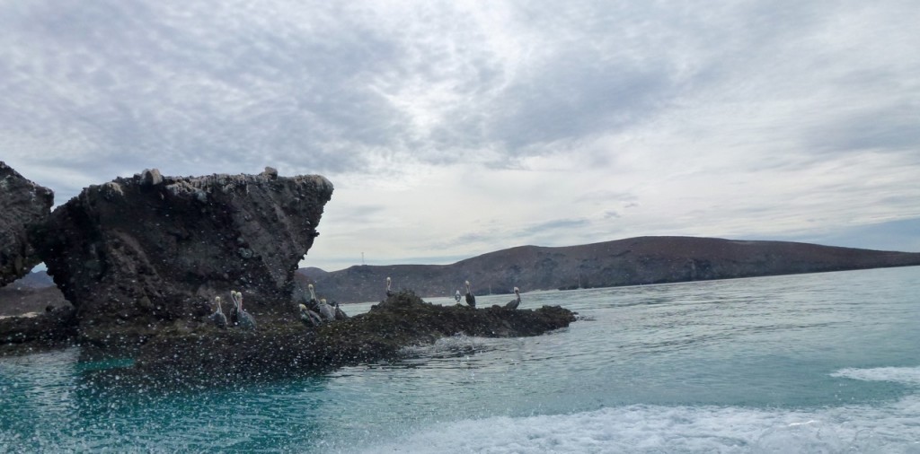 La Paz - Playa el Tecolote — photo 10